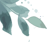 1749109079595854.png DM_20250605153719_001.png